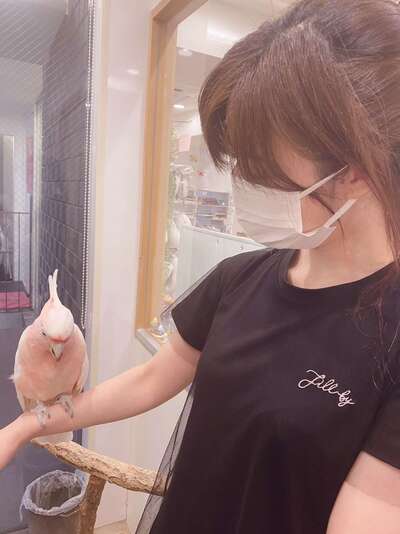 よしのさんの写真